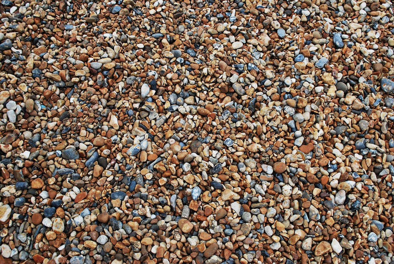 Modern interieur met strandvloer en schelpmotief.