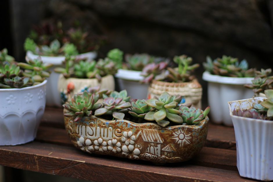Fotografie-inspiratie: Motieven met potten voor unieke canvaskunst