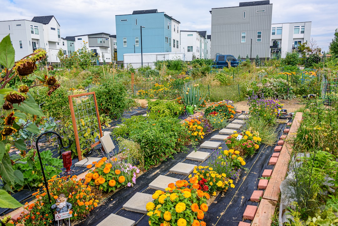 Organische dakklimmers: natuurlijke schaduw voor je tuin