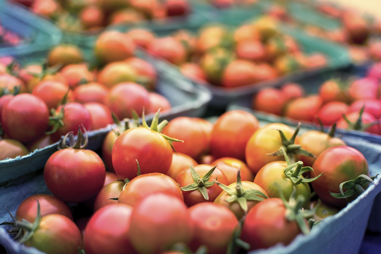 Stoere veganistische leersoorten met unieke texturen. Stoere veganistische leersoorten met unieke texturen.