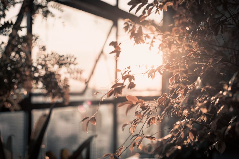 Gezellige woonkamer, zonwering deels gesloten herfst. Gezellige woonkamer, zonwering deels gesloten herfst.