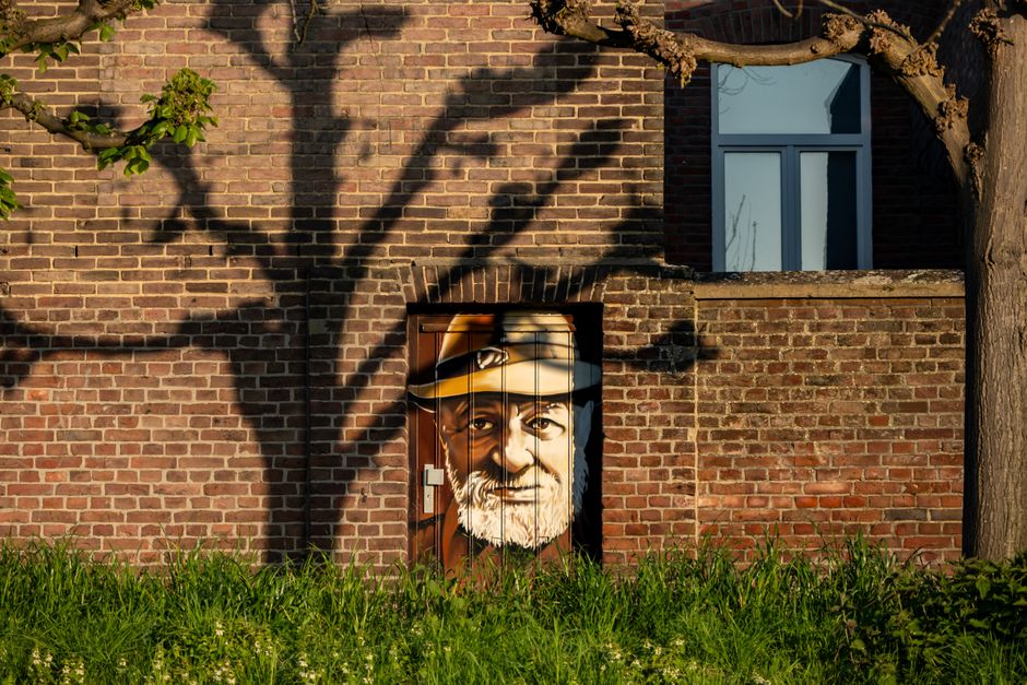 Schilderij krokodil: gedurfde kunst voor een eigentijds herfstinterieur